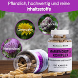 Mariendistel mit Artischocke, Löwenzahn, 80% Sylmarin I 120 Kapseln I Made in Germany I Ohne Zusatzstoffe & Ohne Magnesiumstearat I Glutenfrei & Laktosefrei