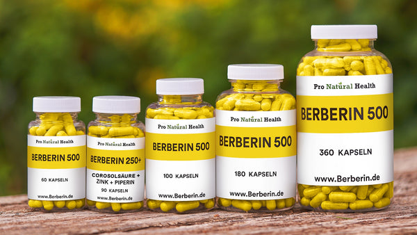 Berberin Dosen Übersicht