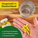 Berberin 500 mg 180 Kapseln  Made in Germany