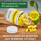 Berberin 500 mg 180 Kapseln  Made in Germany
